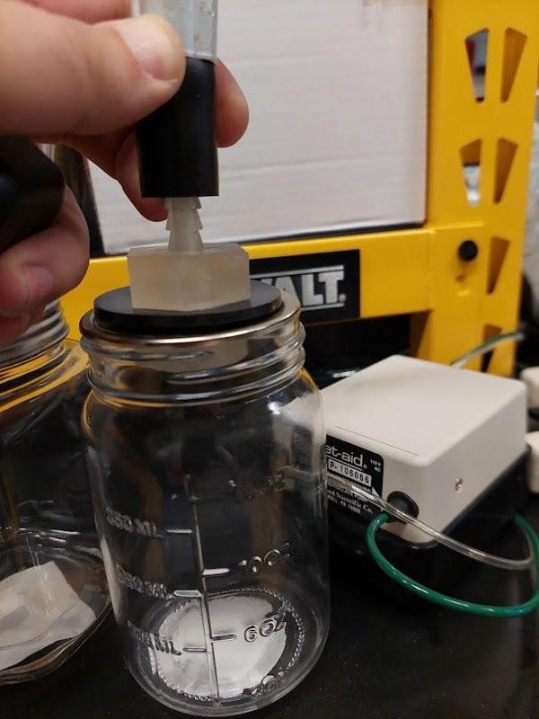 Through bulkhead vacuum fitting