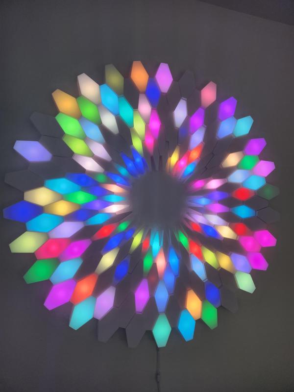 Lotus: 3D LED Wall Art