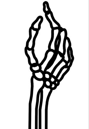 plantsupport skeleton hand