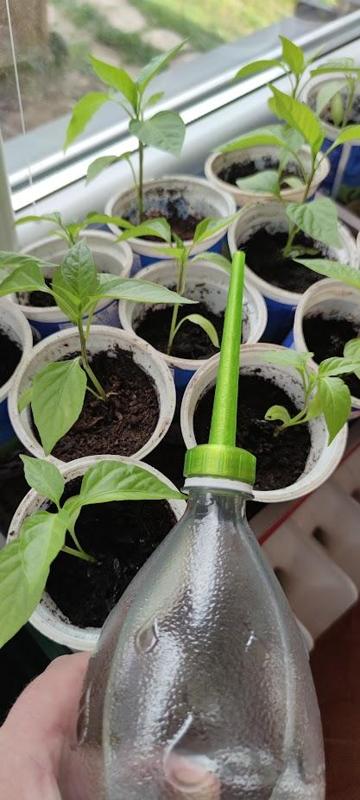 Bottle cap with watering extension.