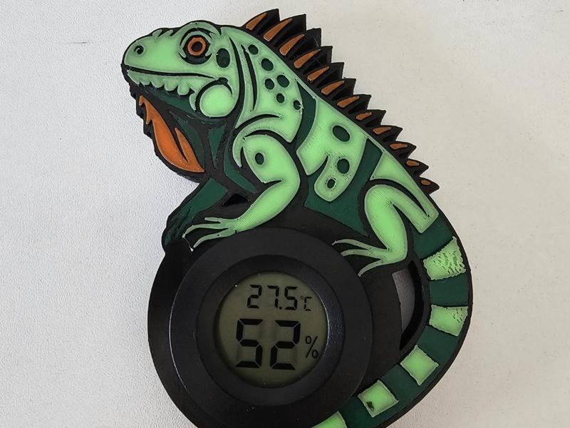 iguana combo-meter cover