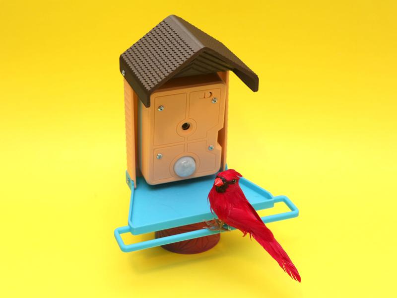 Iot Birder Feeder Camera