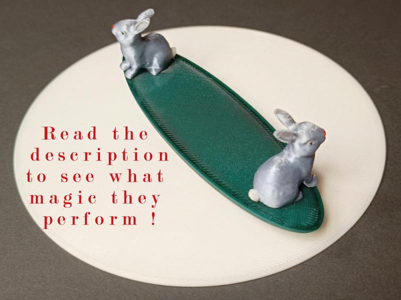 The Magical Easter Bunny Duo