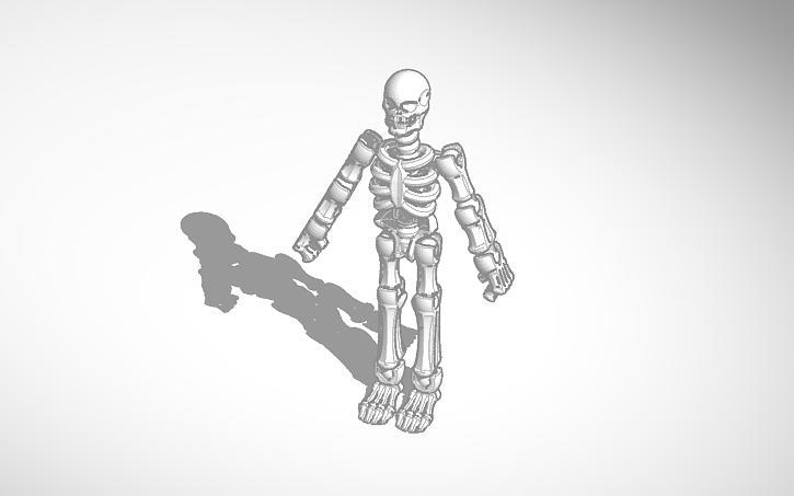 skeleton
