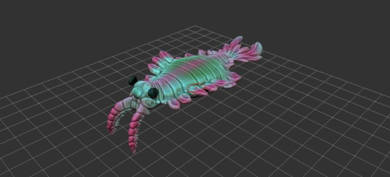 Anomalocaris