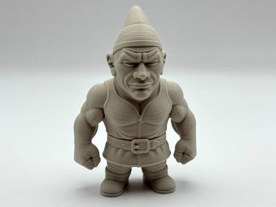 The Rock Garden Gnome