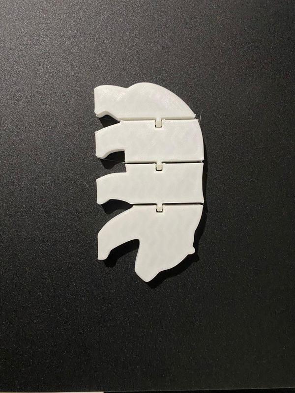 Oso Flexible (Articulado)