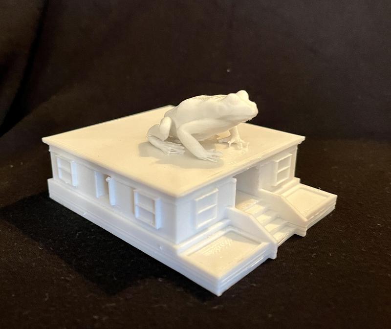 A Fishes Favorite House