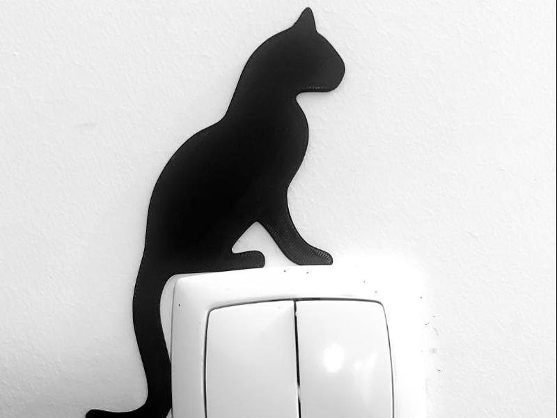 Black Cat Switch light or door corner