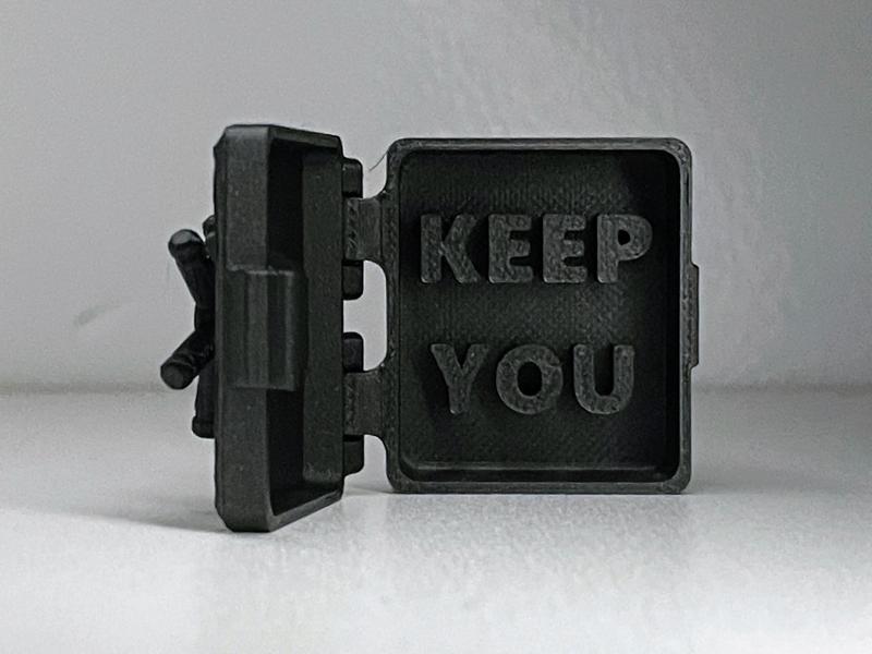 Don’t worry, I’ll "Keep You" Safe (PIP)