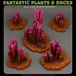 PARASITE STALAGMITES
