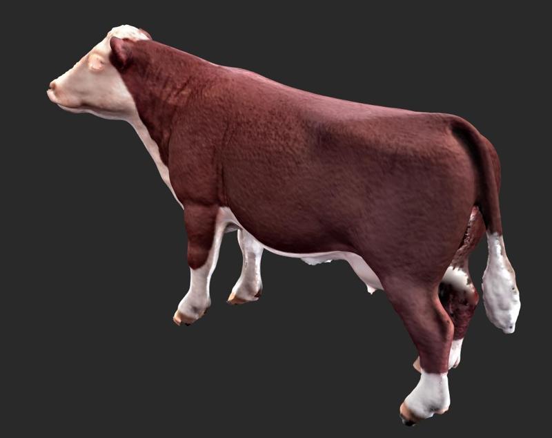 Toy Cow