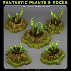MYSTIC TENTACLE PLANTS