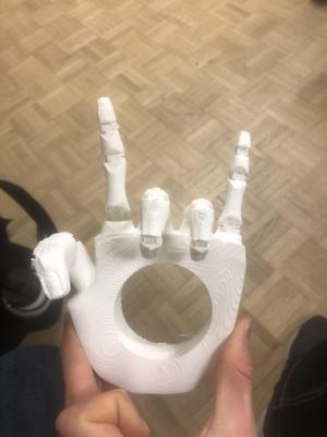 Hand with Articulated Fingers