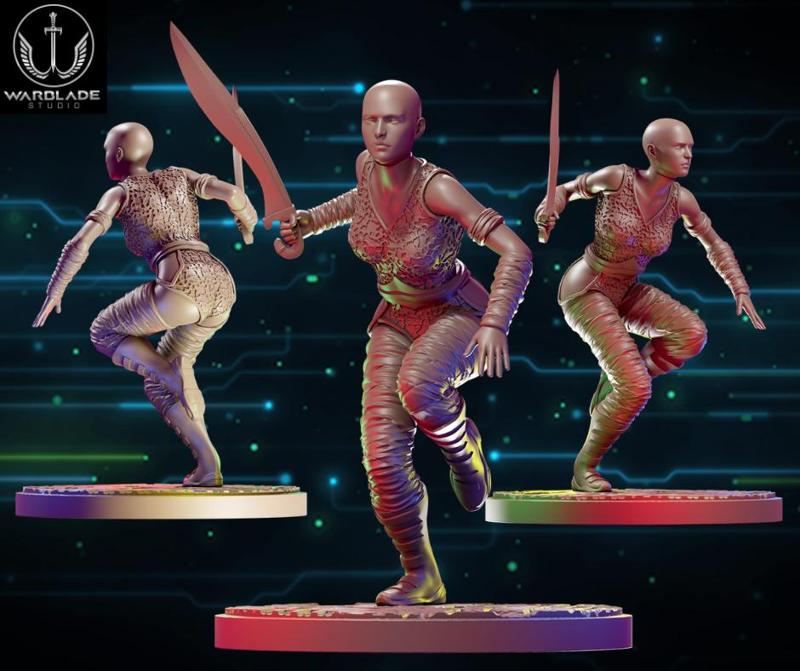 star wars shatterpoint nightsister 1 presupported included