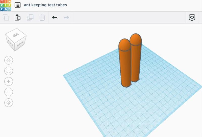 Perfect ant keeping test tube