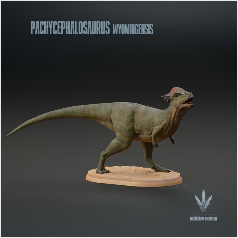 Pachycephalosaurus wyomingensis : Vocalizing