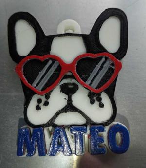 PET TAG DOG GLASSES (French bulldog)