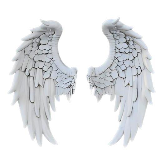 Divine Seraph Wings
