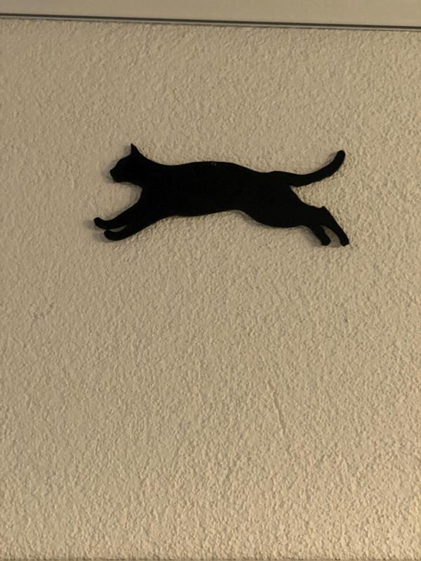 Silhouette of a jumping cat