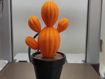 Prickly Pear Pumpkin Cactus