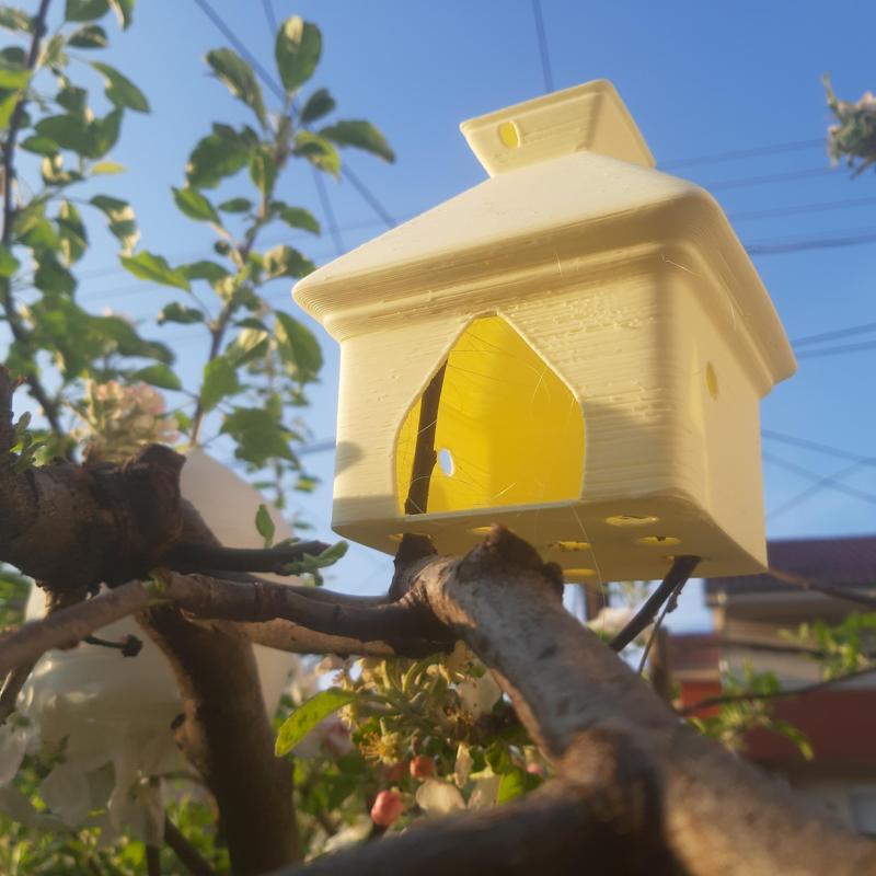 Birdhouse: Cutie