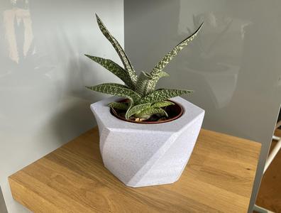 Spiral Plant Pot with Concrete Mold