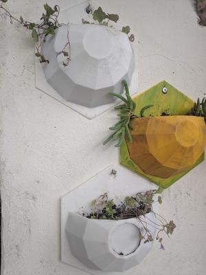 Wall Planter