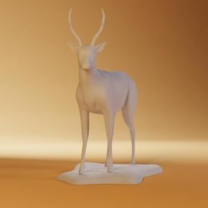 Deer