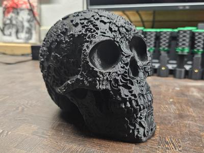 Calavera / Sugar Skull – Día de los Muertos 