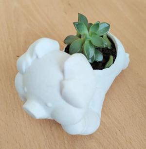 Pig Pig pot