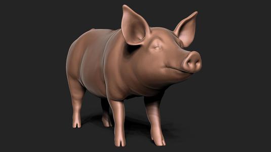 pig 3D print model