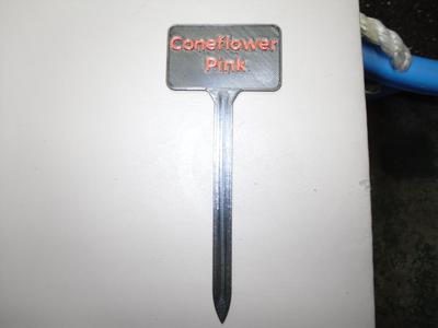 Plant Label Pink Coneflower