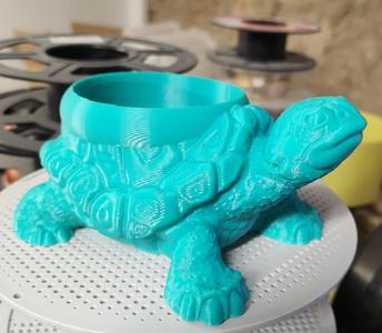 TURTLE_Pot - Remix