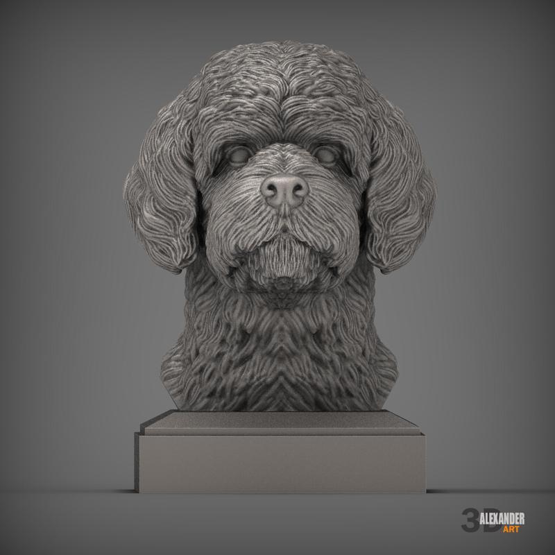 Portuguese Water Dogs bust