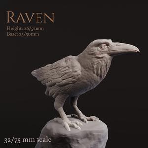 Raven