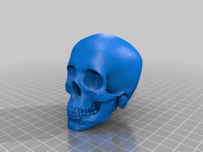 human skull staff topper