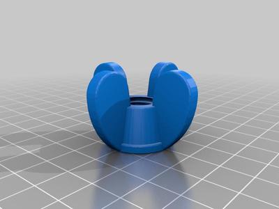 M10 Hollow Bolt and Wing Nut