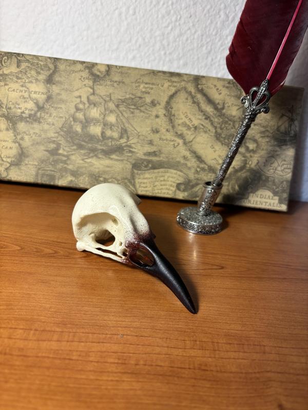 Crow Skull