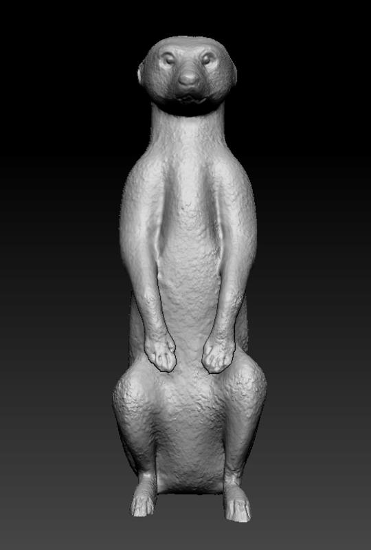 Standing Meerkat 3D Model - A Perfect Addition to Your Collection