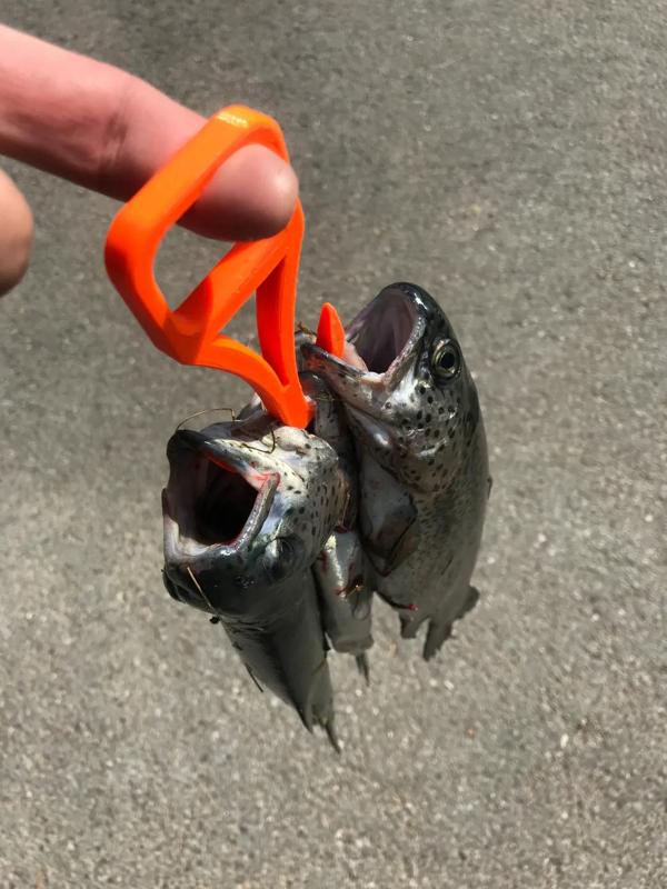 Fish Collector Hook