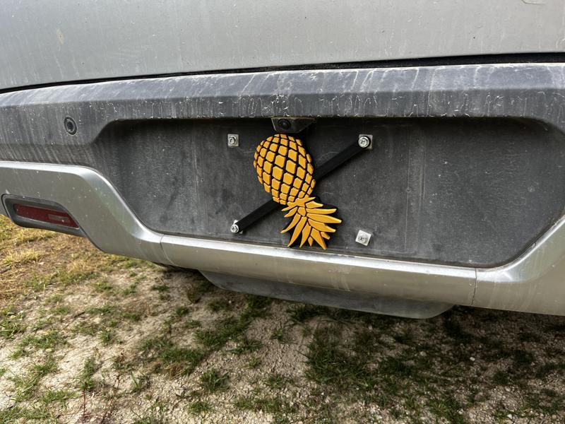 Pineapple Vanity Plate