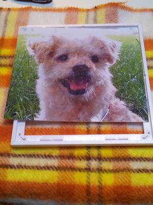 Bilder Rahmen A4, 130x180 ohne kleben