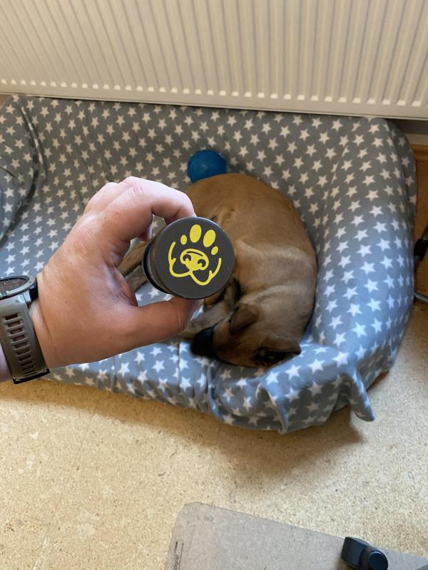 Dog Detection Training Tube