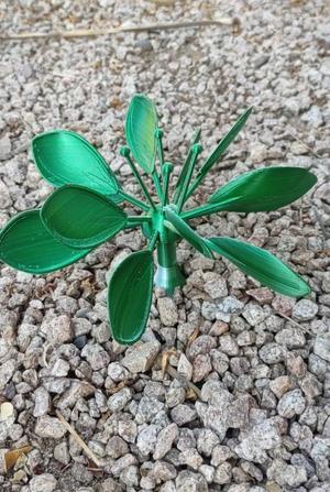 Spinning Ground Plant