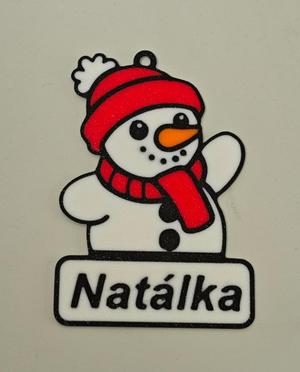 Christmas santa gift tag, changeable name in bambu