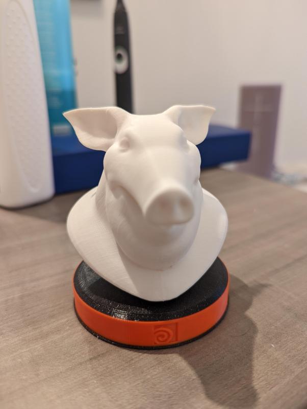 Houdini's Template Pighead Bust