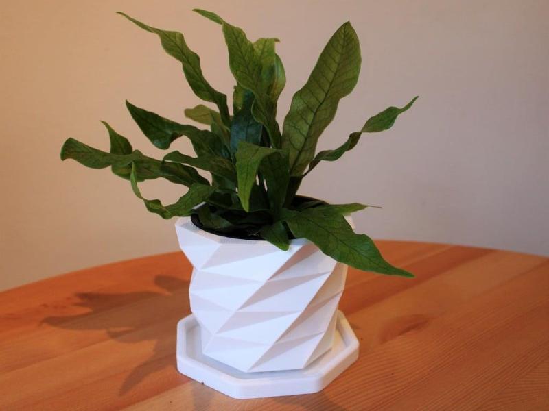 Low Poly Plant Pot with Drainage Tray