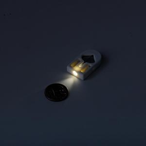 1P Flashlight