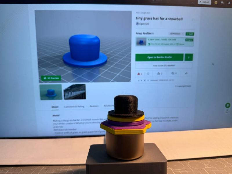 tiny grass hat for everything